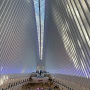 Westfield WTC