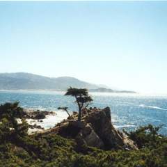 Monterey