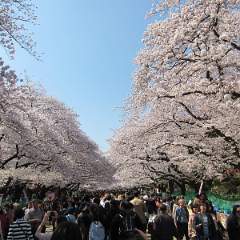 Ueno