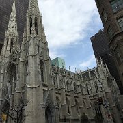 IMG 4559