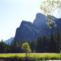 Yosemite08